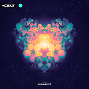 亚洲日本高清成人aⅴ片
