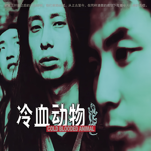 亚洲日本高清成人aⅴ片
